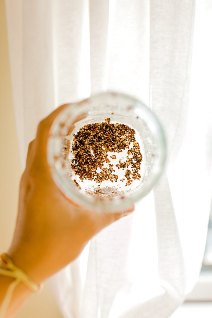 How to grow Broccoli Sprouts