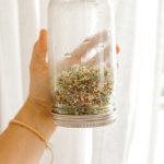 How to grow sprouts for beginners
