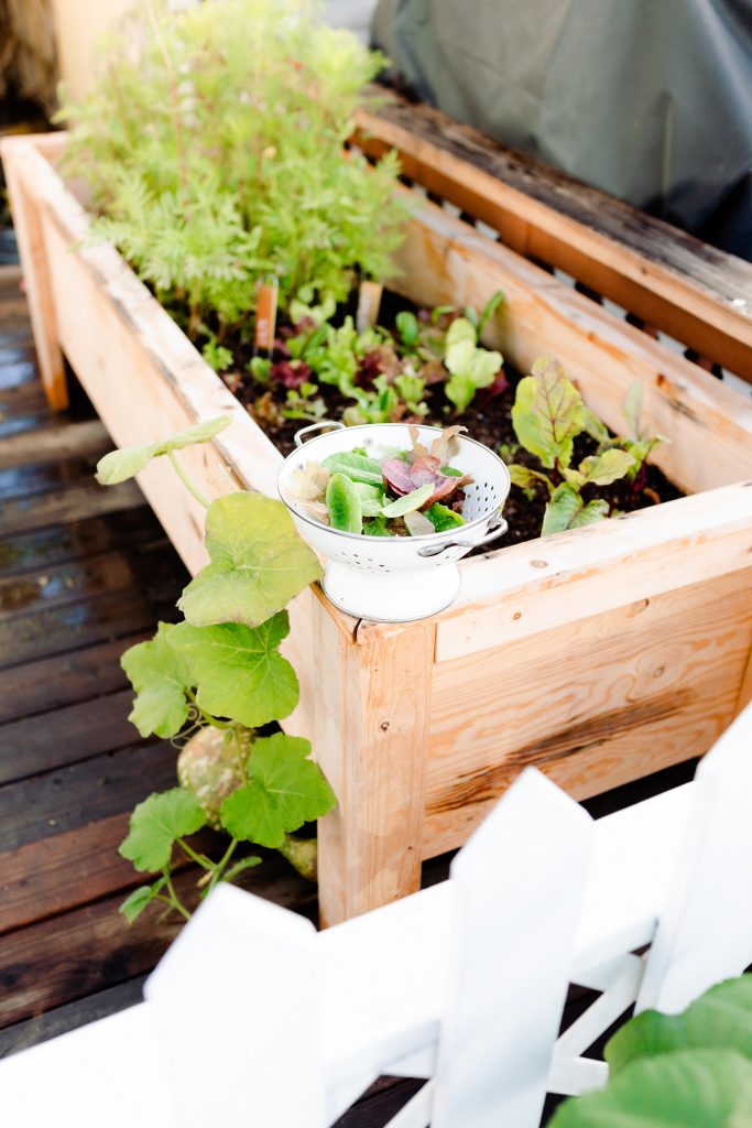how to start a garden